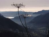 Salita da Rovetta a Cima Paré (1642 m) il 2 dicembre 2009 - Piero e Fulvio - FOTOGALLERY